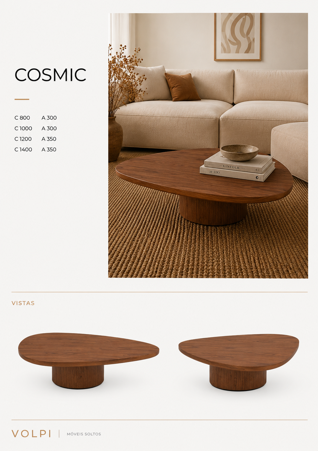 Mesa Central Cosmic